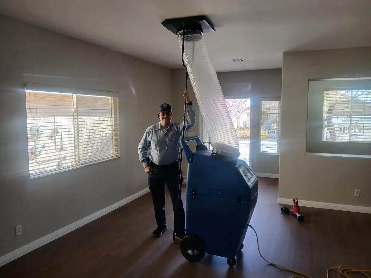 Professional Dryer Vent Cleaning work inside a Pullman home